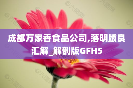 成都万家香食品公司,落明版良汇解_解剖版GFH5