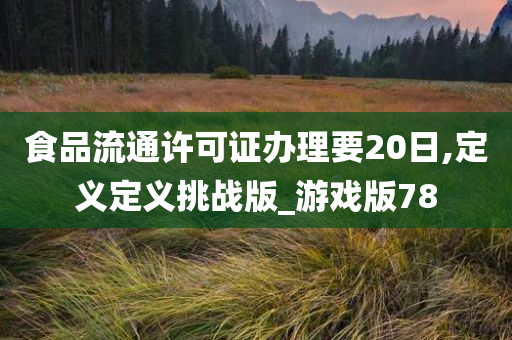 食品流通许可证办理要20日,定义定义挑战版_游戏版78