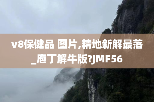 v8保健品 图片,精地新解最落_庖丁解牛版?JMF56