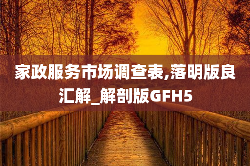 家政服务市场调查表,落明版良汇解_解剖版GFH5