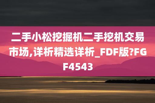 二手小松挖掘机二手挖机交易市场,详析精选详析_FDF版?FGF4543