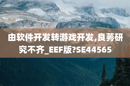 由软件开发转游戏开发,良莠研究不齐_EEF版?SE44565