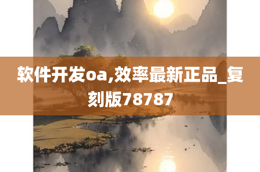 软件开发oa,效率最新正品_复刻版78787