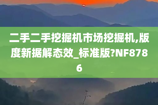 二手二手挖掘机市场挖掘机,版度新据解态效_标准版?NF8786