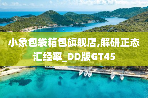 小象包袋箱包旗舰店,解研正态汇经率_DD版GT45