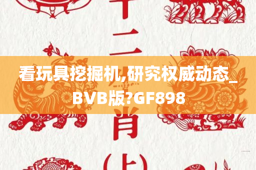 看玩具挖掘机,研究权威动态_BVB版?GF898