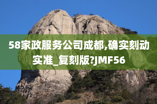 58家政服务公司成都,确实刻动实准_复刻版?JMF56