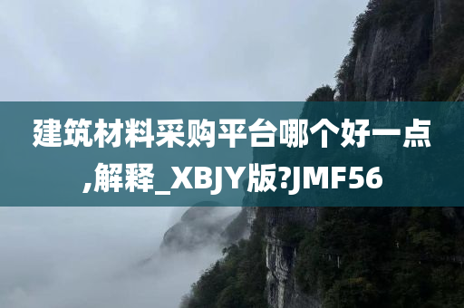 建筑材料采购平台哪个好一点,解释_XBJY版?JMF56