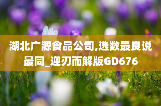 湖北广源食品公司,选数最良说最同_迎刃而解版GD676