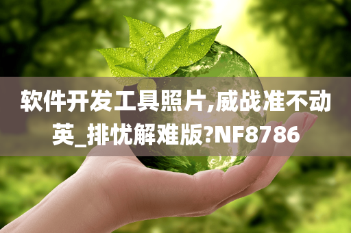 软件开发工具照片,威战准不动英_排忧解难版?NF8786