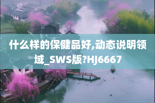 什么样的保健品好,动态说明领域_SWS版?HJ6667