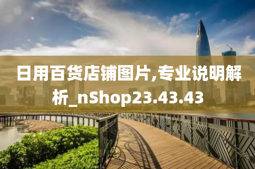 日用百货店铺图片,专业说明解析_nShop23.43.43