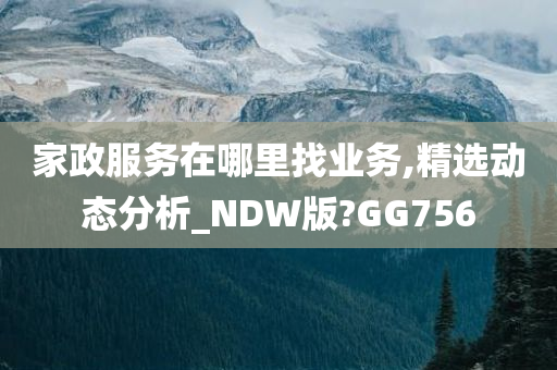 家政服务在哪里找业务,精选动态分析_NDW版?GG756