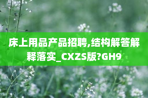 床上用品产品招聘,结构解答解释落实_CXZS版?GH9