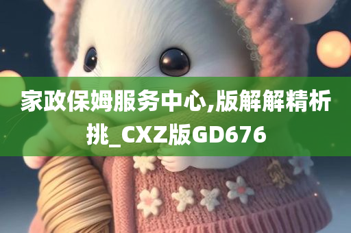 家政保姆服务中心,版解解精析挑_CXZ版GD676