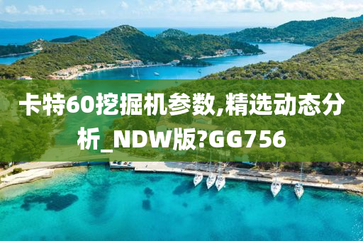 卡特60挖掘机参数,精选动态分析_NDW版?GG756