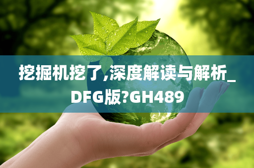 挖掘机挖了,深度解读与解析_DFG版?GH489