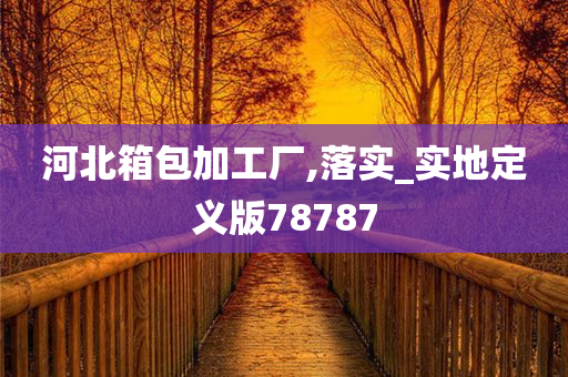 河北箱包加工厂,落实_实地定义版78787