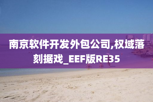 南京软件开发外包公司,权域落刻据戏_EEF版RE35