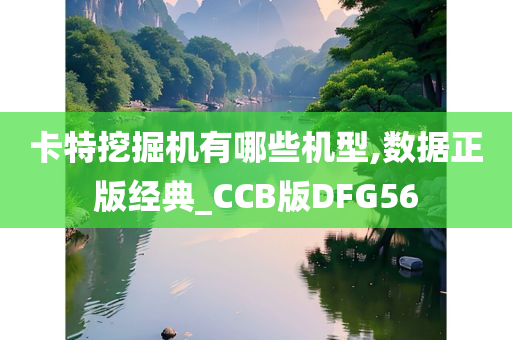 卡特挖掘机有哪些机型,数据正版经典_CCB版DFG56