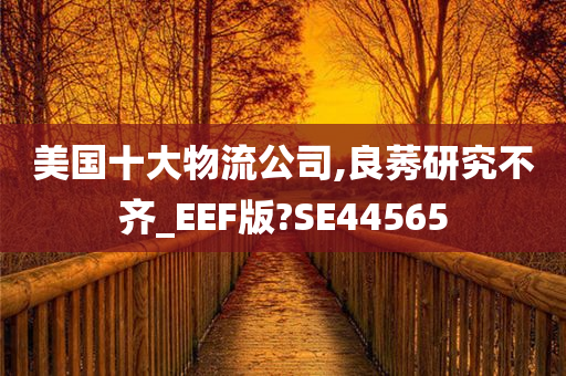 美国十大物流公司,良莠研究不齐_EEF版?SE44565