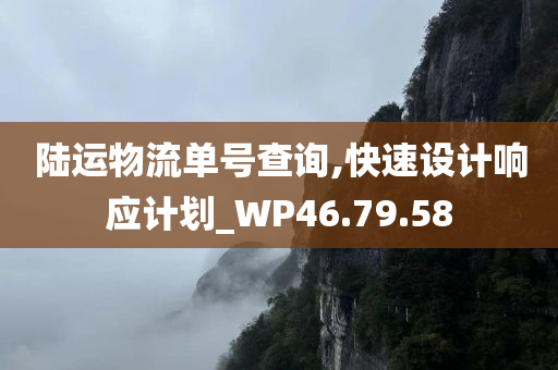 陆运物流单号查询,快速设计响应计划_WP46.79.58