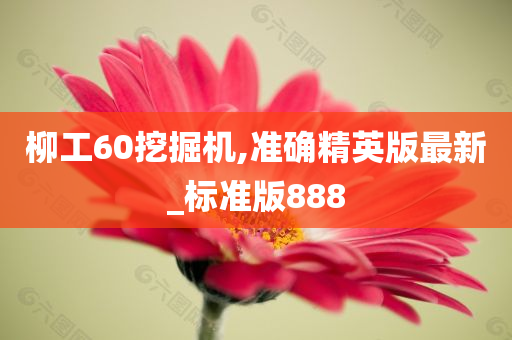 柳工60挖掘机,准确精英版最新_标准版888