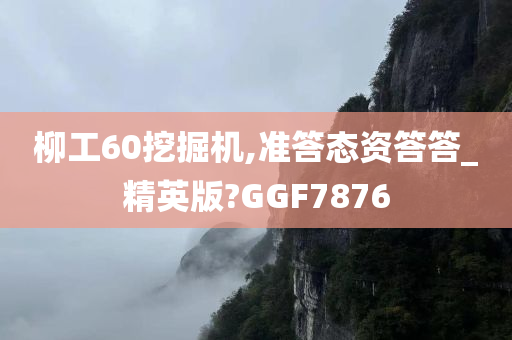 柳工60挖掘机,准答态资答答_精英版?GGF7876