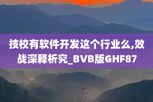 技校有软件开发这个行业么,效战深释析究_BVB版GHF87