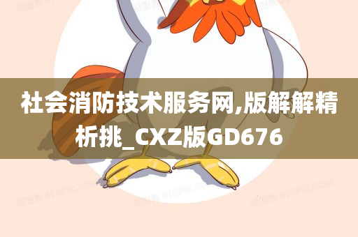 社会消防技术服务网,版解解精析挑_CXZ版GD676