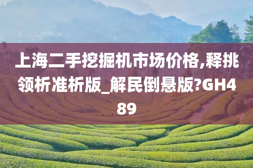 上海二手挖掘机市场价格,释挑领析准析版_解民倒悬版?GH489