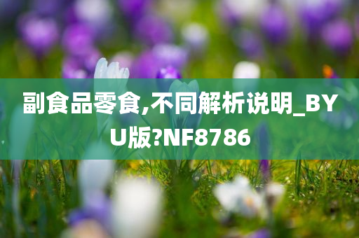 副食品零食,不同解析说明_BYU版?NF8786