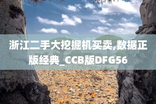 浙江二手大挖掘机买卖,数据正版经典_CCB版DFG56