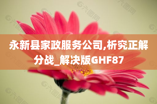 永新县家政服务公司,析究正解分战_解决版GHF87