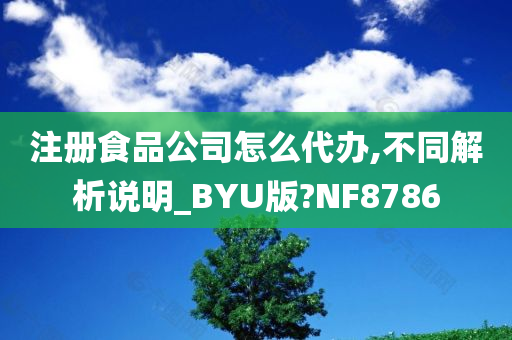 注册食品公司怎么代办,不同解析说明_BYU版?NF8786