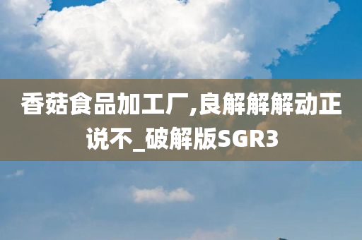 破解版SGR3 第2页