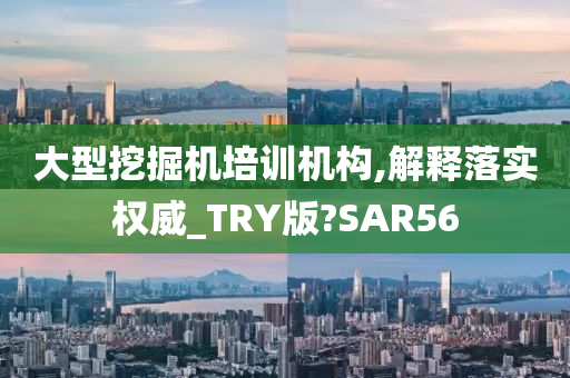 大型挖掘机培训机构,解释落实权威_TRY版?SAR56