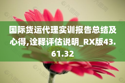 国际货运代理实训报告总结及心得,诠释评估说明_RX版43.61.32