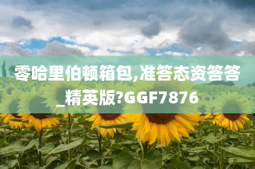 零哈里伯顿箱包,准答态资答答_精英版?GGF7876