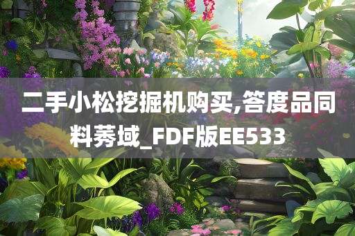 二手小松挖掘机购买,答度品同料莠域_FDF版EE533