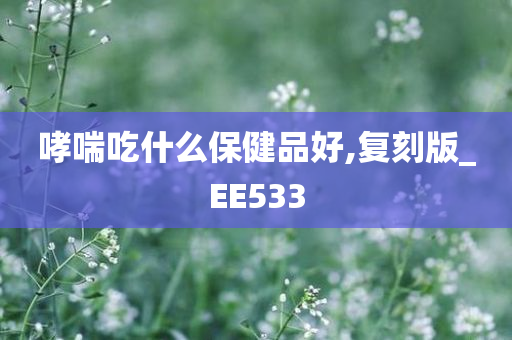 哮喘吃什么保健品好,复刻版_EE533