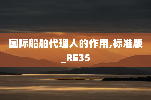 国际船舶代理人的作用,标准版_RE35