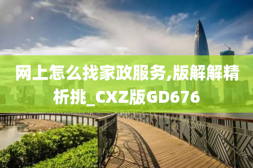 网上怎么找家政服务,版解解精析挑_CXZ版GD676