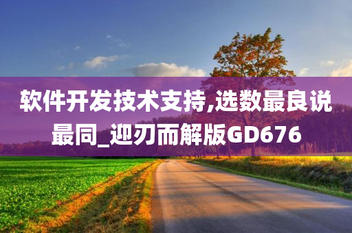 软件开发技术支持,选数最良说最同_迎刃而解版GD676