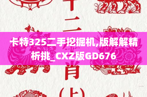 卡特325二手挖掘机,版解解精析挑_CXZ版GD676