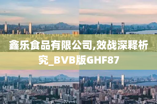 鑫乐食品有限公司,效战深释析究_BVB版GHF87