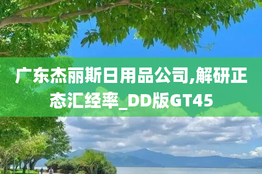 DD版GT45 第2页