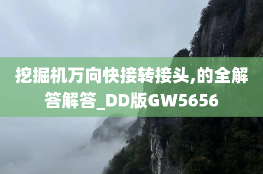 挖掘机万向快接转接头,的全解答解答_DD版GW5656