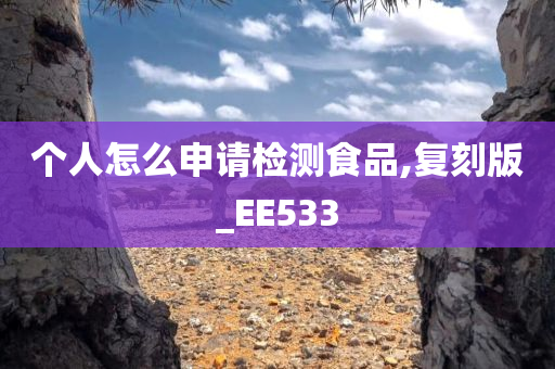 个人怎么申请检测食品,复刻版_EE533