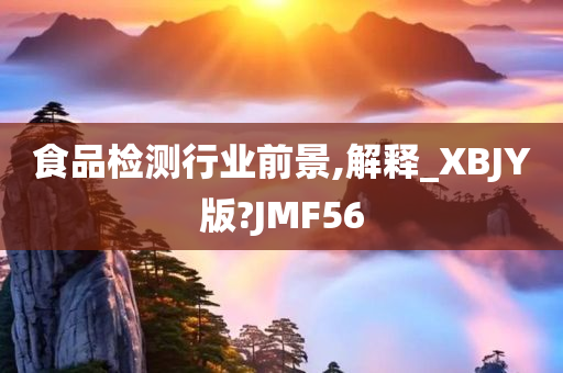 食品检测行业前景,解释_XBJY版?JMF56